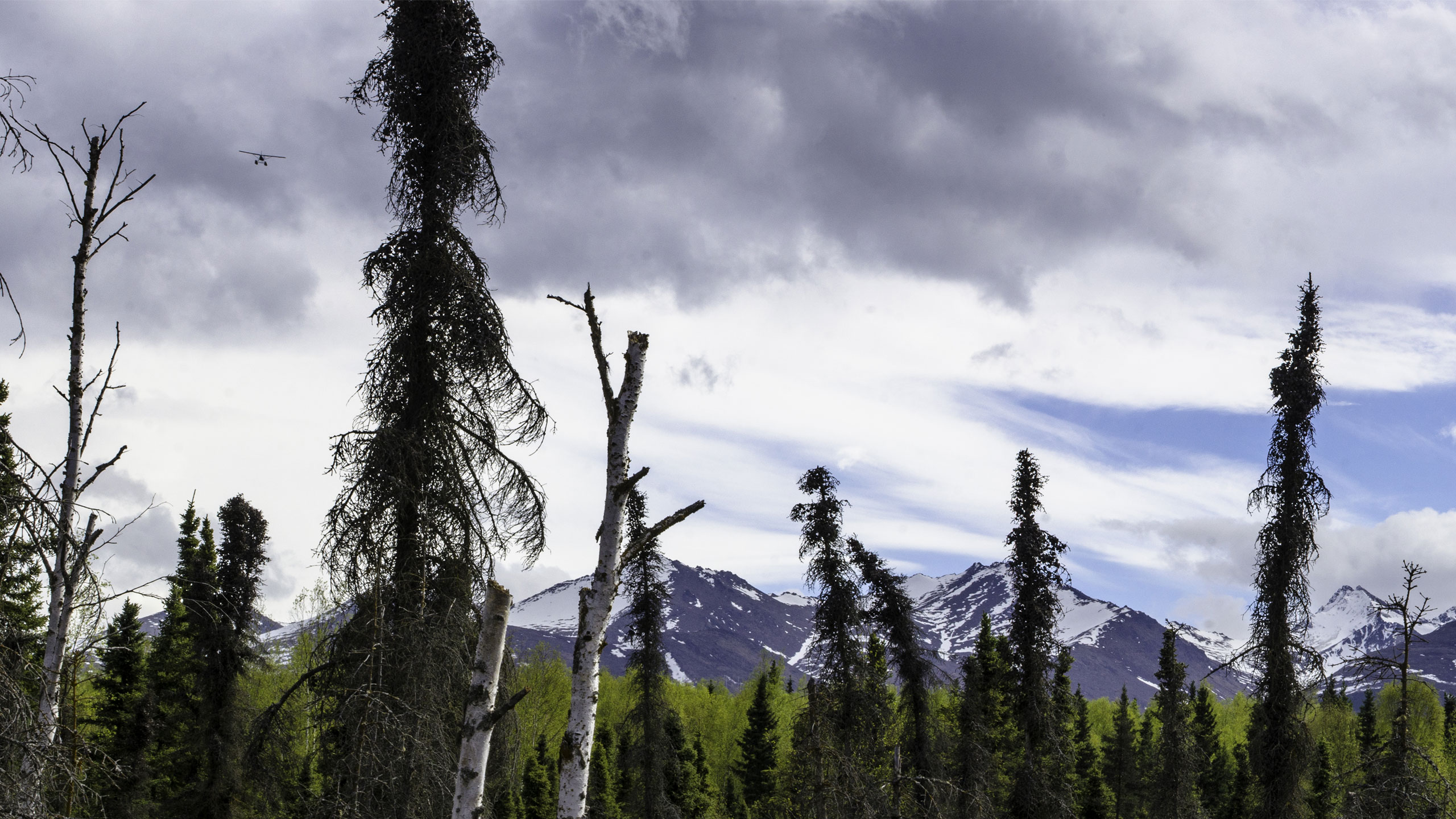 Alaska wilderness at golden hour